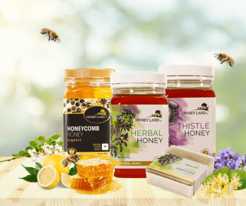 Top Honey You Can Buy in Malaysia